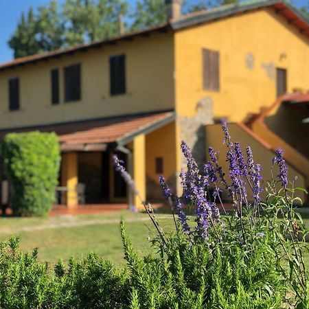 Agriturismo Santa Lorica Sassetta Extérieur photo